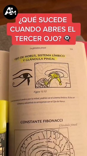 10K views · 314 reactions | #ALIENMISTERIOS #Alienmisterios | Alien Misterios | Facebook