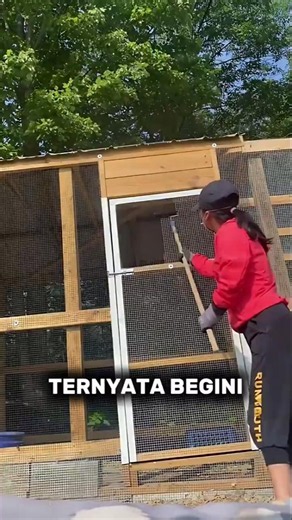 #peternakan
