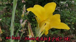 no less(…)than用法知多少呢？（续）