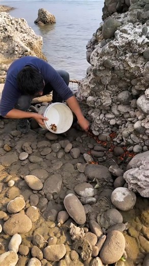 Old-age Technique to Catch Crab 🦀 💪 No Hook, No Tools | Just Hands | Catching so many Crab 🦀CrabEp02