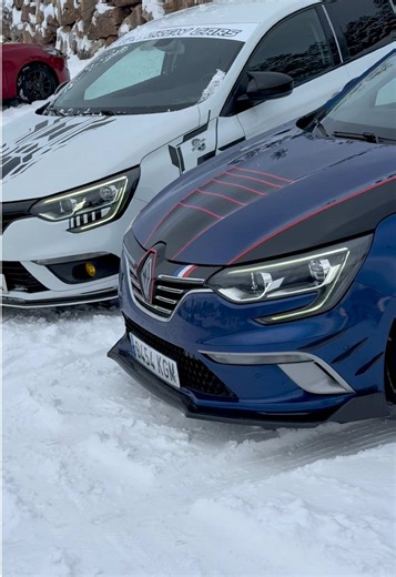 Renault Megane Season Overview