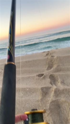 Flathead Fishing Tips for a Successful Beach Catch