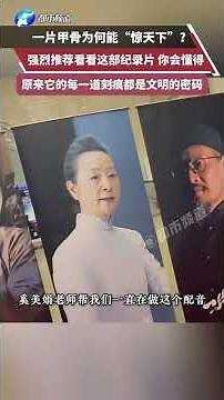 Why can a piece of oracle bone "astonish the world"? I strongly recommend watching this documenta...