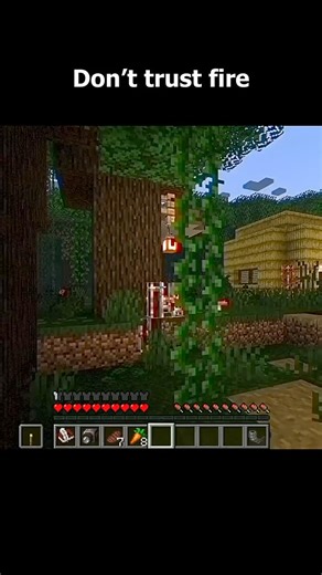 pufferfish81 on Instagram: "Don't go to the fire Check out my main YT channel @PuffsGaming81 #horrorminecraft #minecraft #puffsgaming81"