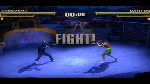 Def Jam Fight for New York Gameplay Insights