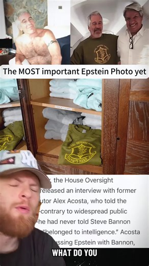 IDF Overview and Epstein Connections Explained