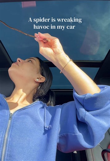 Trying to come up with a game plan. I’m still on the side of the road | spiders