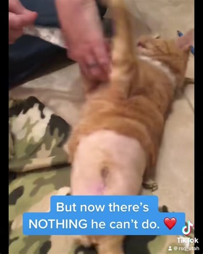 RSQ Highlights #RuralRescue | RSQ