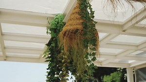 Hanging wicker planter with lush greenery