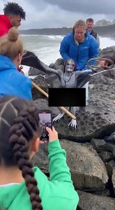 10:17 a.m. — Costa rocosa de Portreath, Cornualles, Reino Unido. Los fuertes vientos de esa mañana habían obligado a evacuar parte de la playa. La marea arrastraba espuma y algas con violencia, cuando un grupo de voluntarios de rescate costero divisó algo atrapado entre las rocas. Al principio pensaron que era un delfín desorientado, pero al acercarse, lo que encontraron no tenía forma conocida. Era una figura humanoide, de piel gris, alada, empapada y temblorosa. Tenía las extremidades delgadas