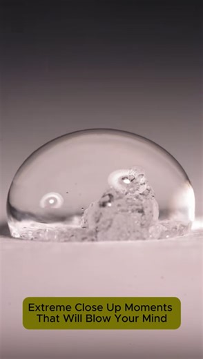 Extreme close up moments that will blow your mind