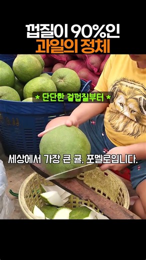 손으로 까다간 하루 다가는 과일, 과육은 10 #과일먹방 #shorts