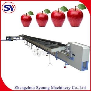 [Hot Item] Tomato Potato Weight Sorting Grading Machine with Washing Machine
