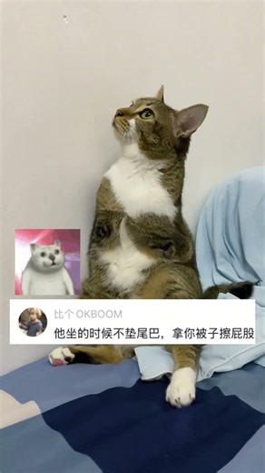 Can't Look Away: My Quilt's Hidden Secret Unveiled