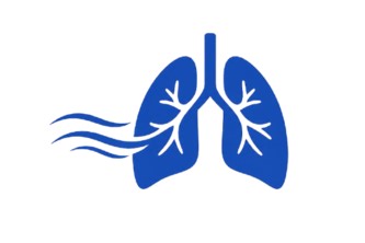 PulmoBreathAI