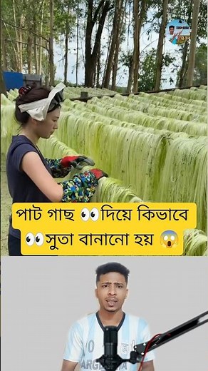 How Jute Plants Become Thread