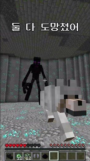 Absolutely do not press the audio💀