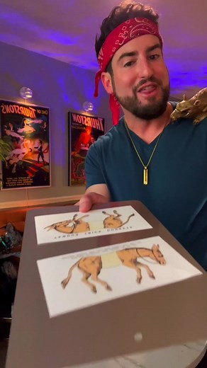 Mind-Blowing Donkey Puzzle Tricks Revealed
