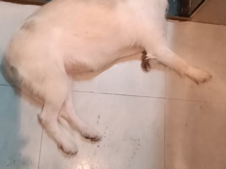 【此账号已经注销--】最新视频已上线，快来围观！