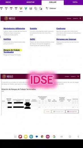 Consulta de Incapacidades para Prima de RT