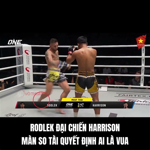 RODLEK ĐẠI CHIẾN HARRISON: MÀN SO TÀI QUYẾT ĐỊNH AI LÀ VUA TẠI ONE #mma #boxing