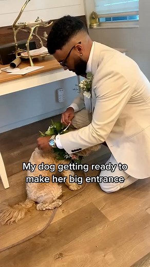 I’m still crying over this… 😭🤍 #wedding #dogs #puppylove #love #dogsoftiktok #lunatheminico | Luna Cockapoo