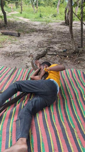 will you run snake or stay 🤔🐍🐍