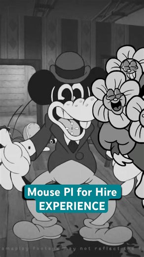 Mouse PI for Hire EXPERIENCE