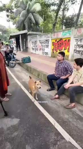 Hasnat Abdullah & Sarjis Alom 🤡 | Chemistry Of Politics