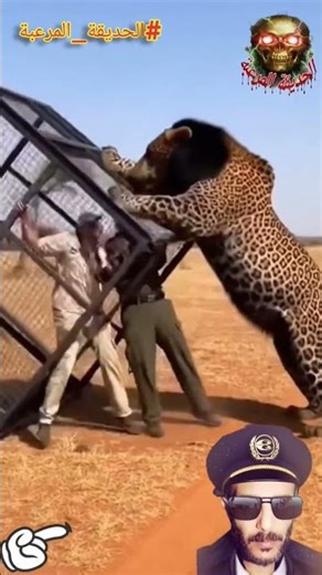 اخطر ⚠️ المشاهد وبداية النهاية رعب حقيقي من داخل الحديقة المرعبة نهاية مرعبة جدا حيوانات بدون رحمة