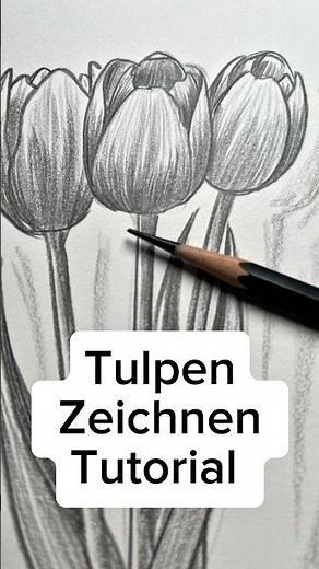 🌷 Drawing tulips with a pencil – A simple exercise for beginners and advanced students!