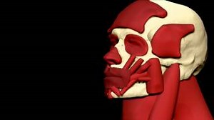 Damon  Albarn - Everyday Robots