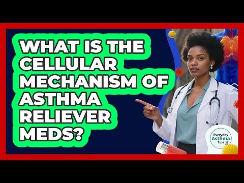 What Is The Cellular Mechanism Of Asthma Reliever Meds? - Everyday Asthma Tips