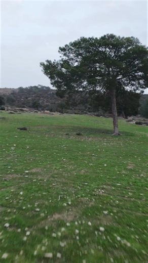 Dji neo2 - Gaining some control #dji #drone #neo2 #nooboperator #fpvdji