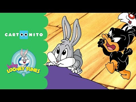 Baby Looney Tunes | Act Your Age | Cartoonito