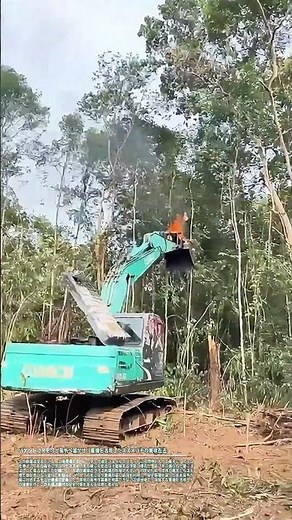 バケットに火を灯し高所へ届かせ：重機を活用したスズメバチの巣除去法