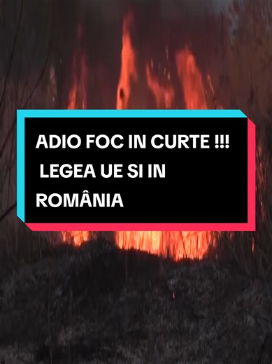 🔥 🚫 Adio foc în curte! risc de dosar penal pentru incendierea resturilor🌿 Noi reguli stricte privind incendierea uscăciunilor în gospodării ⚠️