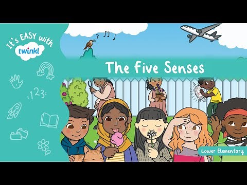 The Five Senses | It's Easy With Twinkl | Twinkl USA