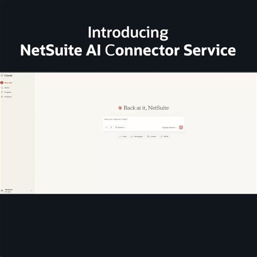 Introducing NetSuite AI Connector Service | Steve May