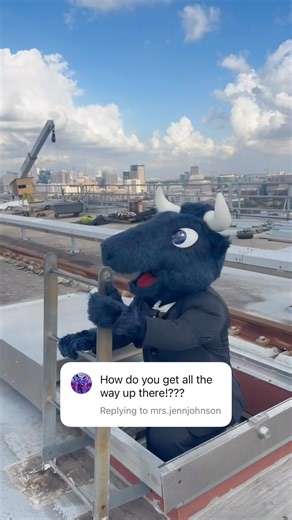 carefully 😅 #houston #texans #nfl #stunt #extreme #omg