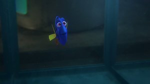 244K views · 6.3K reactions | ¡Dory ha recordado algo de su pasado! Ve de qué se trata en el nuevo trailer de Finding Dory. | BuzzFeed Latam | Facebook