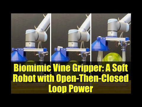 Biomimic Vine Gripper: A Soft Robot with Open-Then-Closed Loop Power