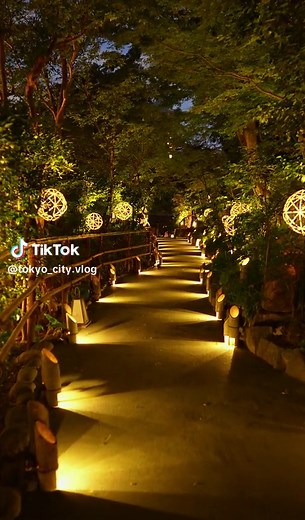 幻想的な蛍の光を楽しむ東京都内の夜景