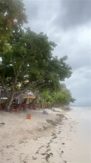 WATCH: Strong waves and powerful winds lash the white sandy beaches of Panglao, a popular tourist destination in Bohol, on Tuesday, November 4. The rest of Bohol remains under Tropical Cyclone Wind Signal No. 2 due to #TinoPH. | via Leo Udtohan, Philippine Daily Inquirer •⁠ ⁠Follow live updates for #TinoPH: https://inqnews.net/TinoPH | INQUIRER.net