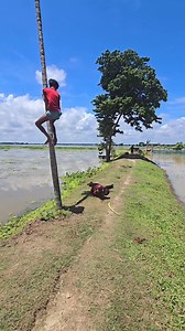 7.9M views · 32K reactions | Ema onyx on Reels | Facebook