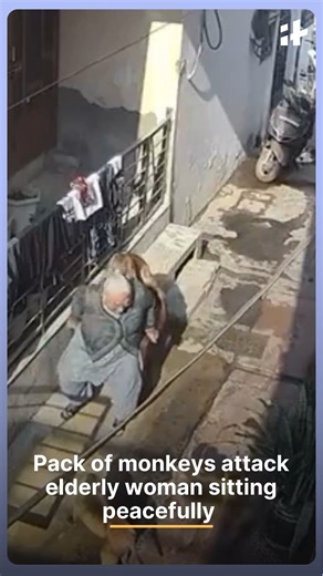 160K views · 248 reactions | Panic has gripped the Batra Colony in...