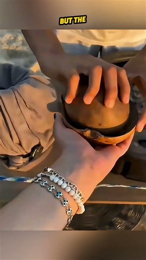 Never Buy a Turtle at the Beach – The Shocking Scam Tourists Don’t Know! #shortvideo