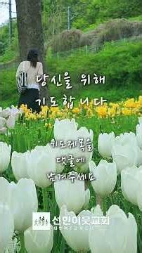 1분 기도 (복음 전도자의 정체성과 자세) #shorts