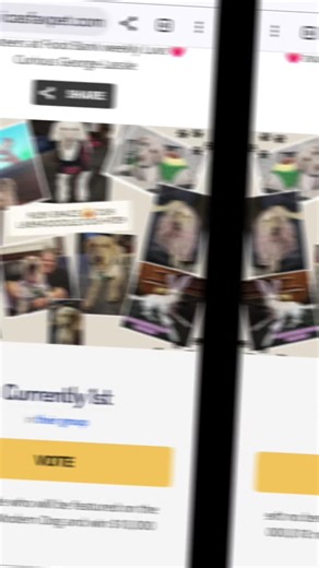 The Incredible Support of Ruby Grace the Labradoodle