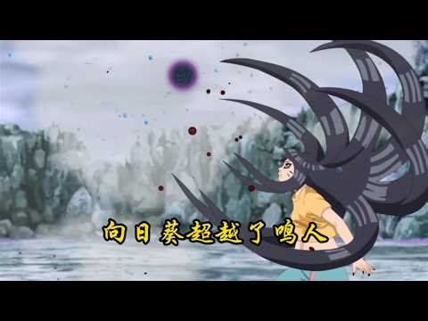 爲什麼說僅憑這一個鏡頭，就足以說明向日葵作爲九尾人柱力，比鳴人更加強大！